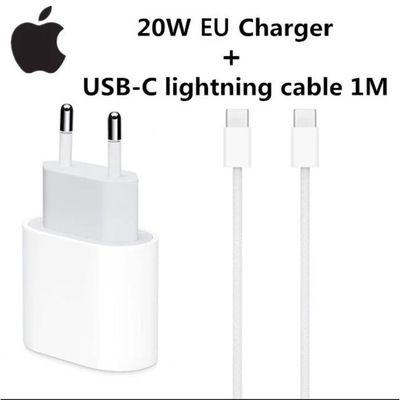Chargeur iPhone